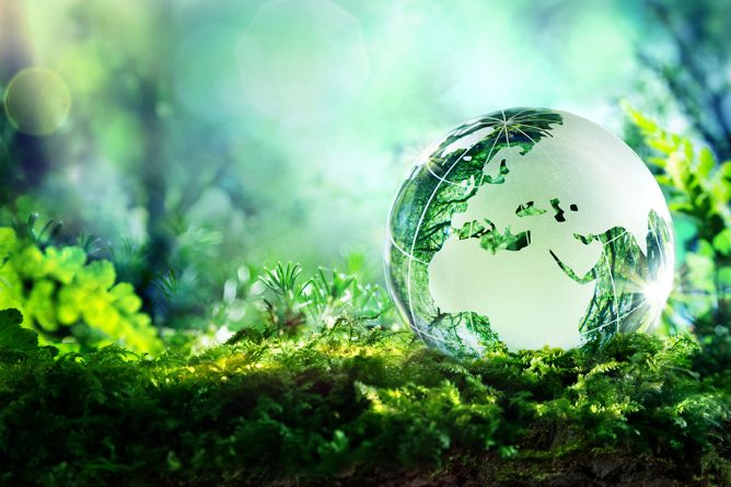 globe on moss in a forest – Europe – environment concept