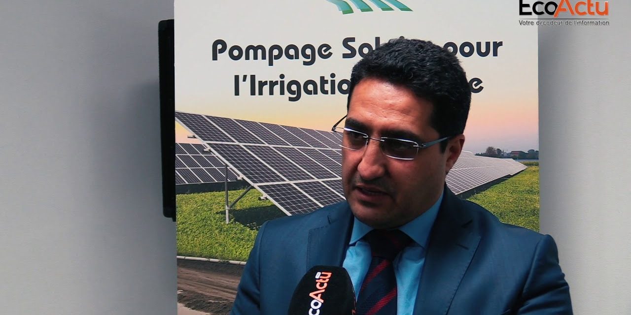 mghazli