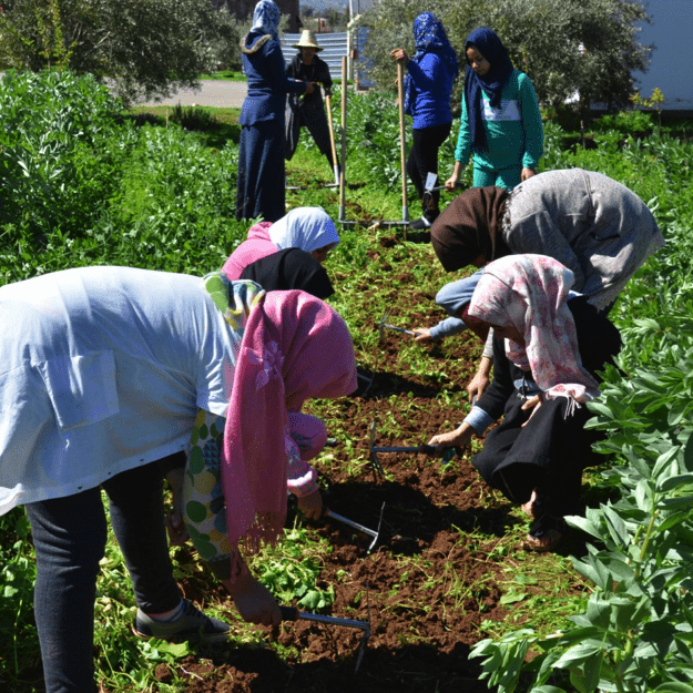 Women working in an orchard in the High Atlas as part of an efficient irrigation and livelihood improvement project. / Femmes travaillant dans un verger au Haut Atlas dans le cadre d’un projet d’irrigation efficace et d’amélioration des moyens de subsistance.