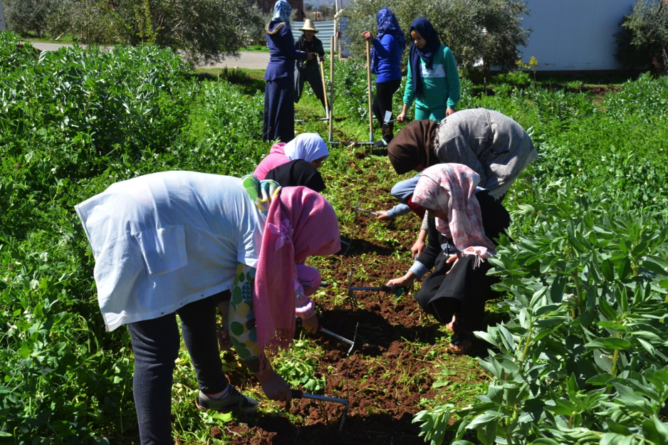 Photo principale Article