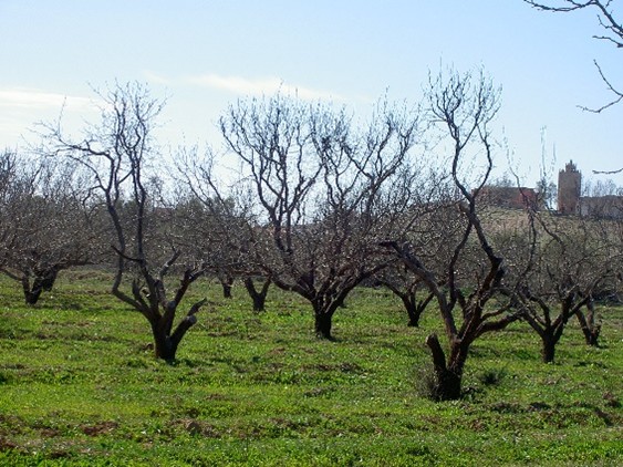 elaboration_convention_gire_3