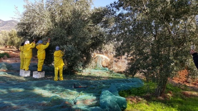 etude_politique_sauvegarde_2