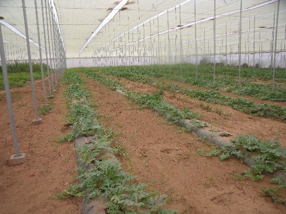 valorisation_eau_irrigation_2